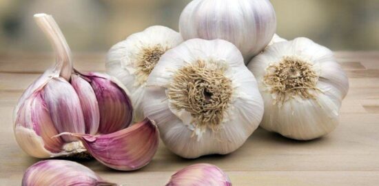 garlic