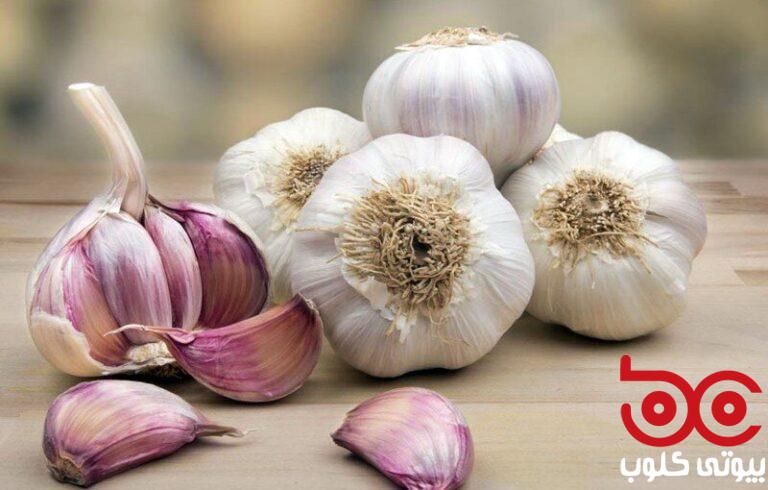 garlic