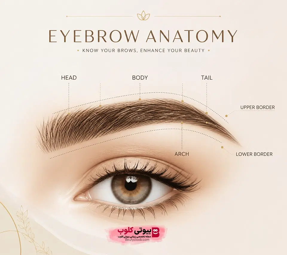 کاشت ابرو به روش برداشت واحد فولیکولی